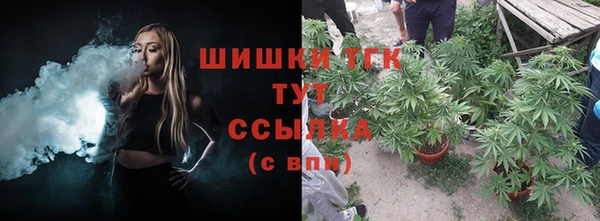 сатива Верхнеуральск